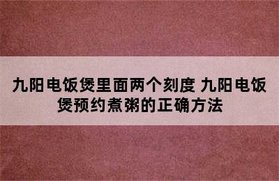 九阳电饭煲里面两个刻度 九阳电饭煲预约煮粥的正确方法